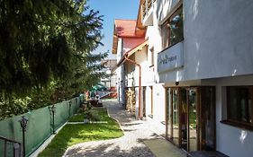 Pensiunea Aria Paltinis